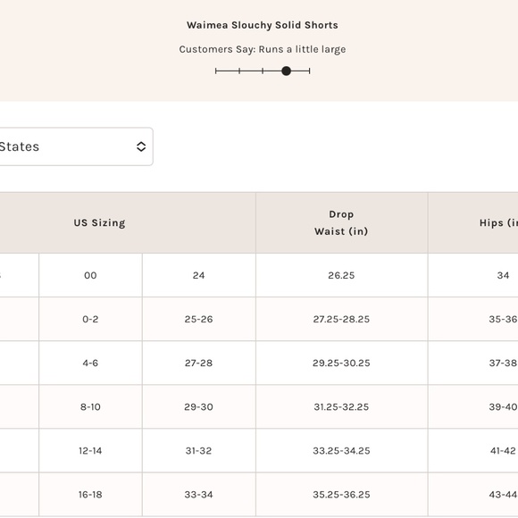 FREE PEOPLE Waimea Cargo Shorts XL Black NWOT - Picture 11 of 11